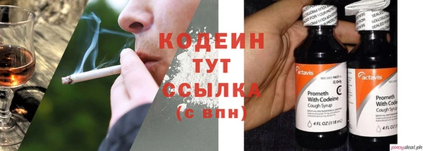 мяу мяу мука Няндома