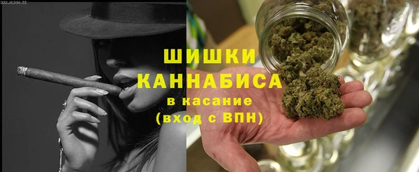 стаф Нягань