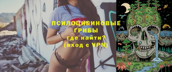 мяу мяу мука Няндома
