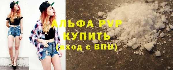 дживик Шадринск