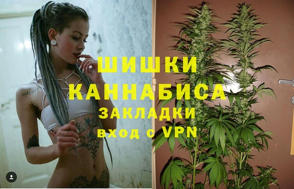 мяу мяу мука Няндома