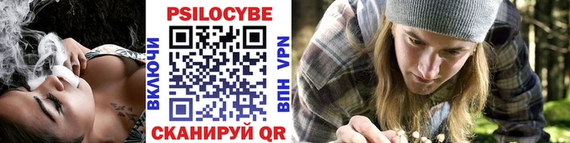 купить   Тулун  Галлюциногенные грибы ЛСД 