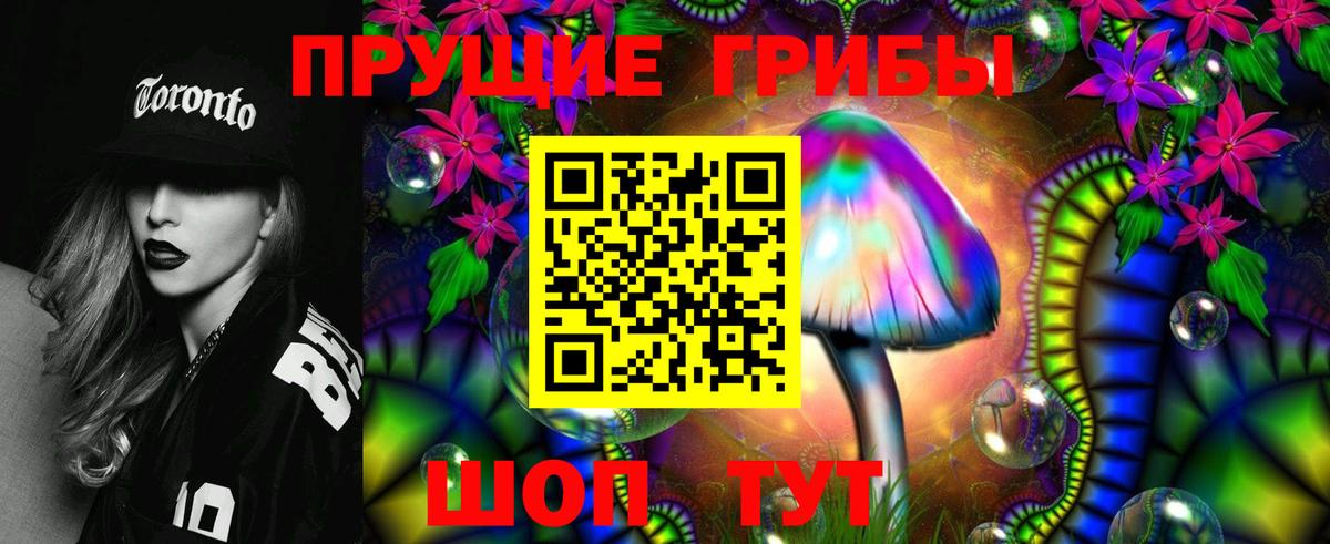 Псилоцибиновые грибы Cubensis Тулун