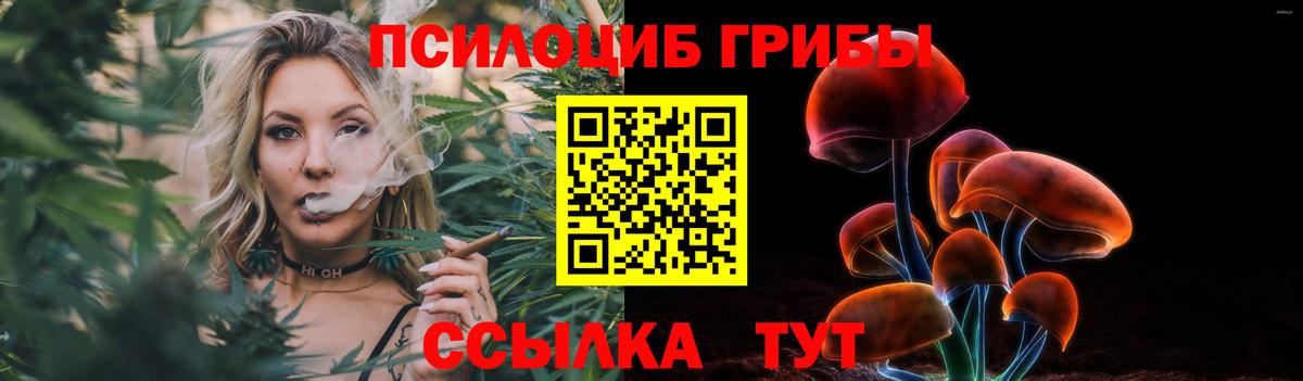 купить наркоту  Псилоцибиновые грибы Magic Shrooms  Псилоцибиновые грибы прущие грибы  Вход с VPN  Тулун 